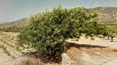 Terreno en venta en Benimallunt - Més