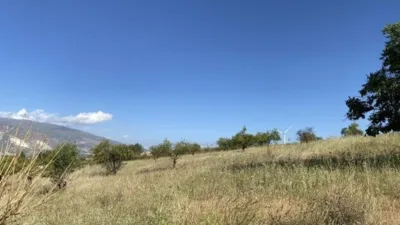 Rustic finca in Padul photo 23