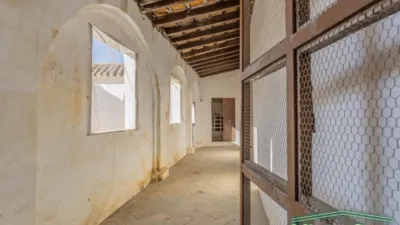 House in Andalucia photo 60