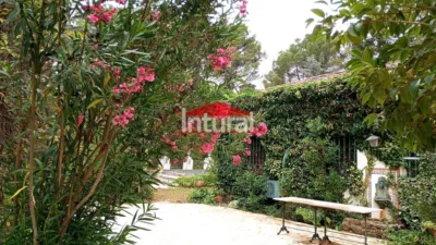 Chalet in Urbanización Pinares del Júcar photo 2