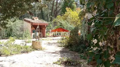 Chalet en Urbanización Pinares del Júcar photo 15