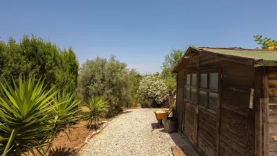 Rustic finca in Alhaurín El Grande photo 29