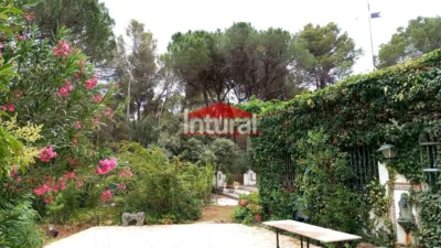 Chalet in Urbanización Pinares del Júcar photo 3