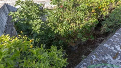 House in Andalucia photo 48
