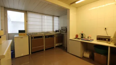 Apartment on Rambla de Méndez Núñez photo 15