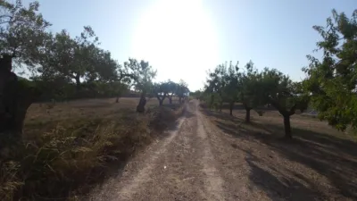 Finca rústica en calle Polígono 3 Paraje 142 Rivas, nº 25 photo 58