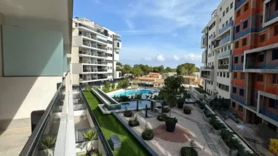 Pis – Orihuela, Mil Palmeras - Vista 2