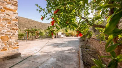 House in the Outskirts photo 8