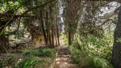 Rustic on Calle de Moratalla Sabinar photo 75