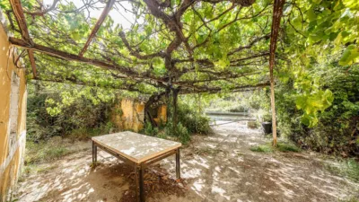 Rustic on Calle de Moratalla Sabinar photo 63