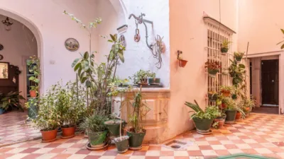 House in Andalucia photo 17