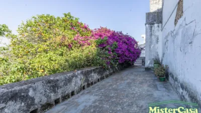 House in Andalucia photo 40