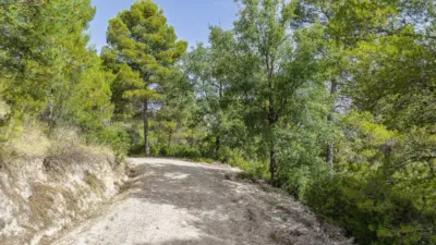 Rustic on Calle de Moratalla Sabinar photo 50