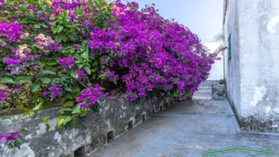 House in Andalucia photo 47