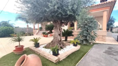 Chalet in El Raal photo 3