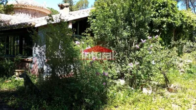 Chalet en Urbanización Pinares del Júcar photo 16