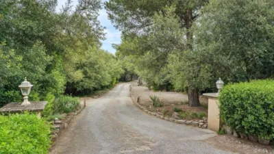 Rustic Finca in Port Dalcúdia - Platja Dalcúdia photo 4
