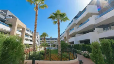Apartment in La Zenia photo 4