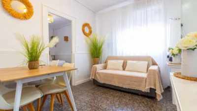 Apartment on Pintor Coronado Street photo 2