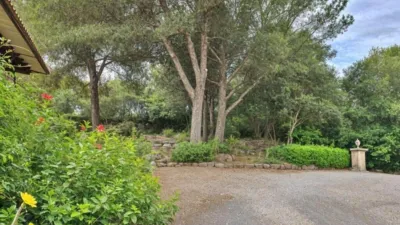 Rustic Finca in Port Dalcúdia - Platja Dalcúdia photo 5
