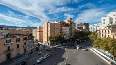 Apartment on Avinguda de Gabriel Alomar photo 13