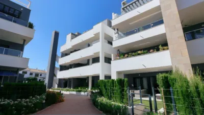 Apartment in La Zenia photo 3