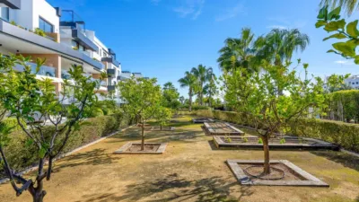 Duplex penthouse in Lomas de Cabo Roig-Los Dolses photo 42