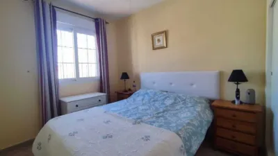 House in La Zenia photo 15