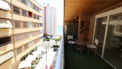 Apartment in Acequion photo 16