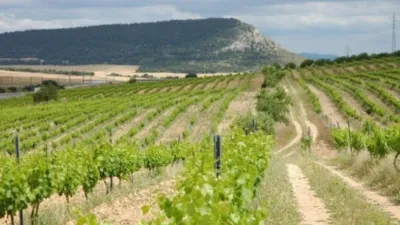 Terreno en venta en Almansa - Vista 2