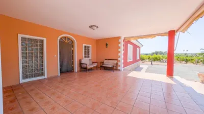 Casa – Elx - Elche - Más
