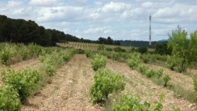 Terreno en venta en Almansa - Vista 3