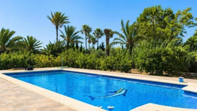Casa – Elx - Elche - Vista 2