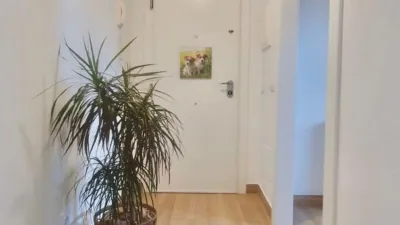 Apartment on Francisco Pacheco Street photo 10