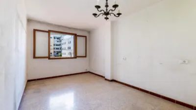 Apartment in Santa Catalina photo 8
