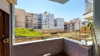 Apartment in Santa Catalina photo 16