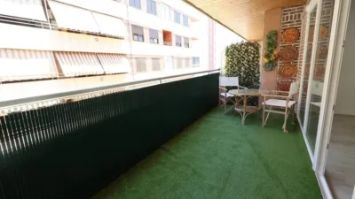Apartment in Acequion photo 15