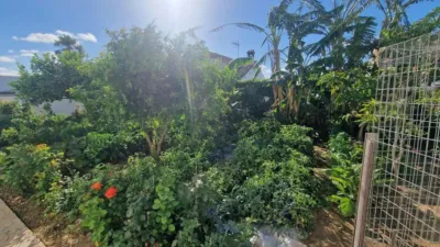 Chalet in San Jose de Malcocinado photo 16