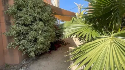 Chalet en Carrer de les Palmeretes, 37 photo 26