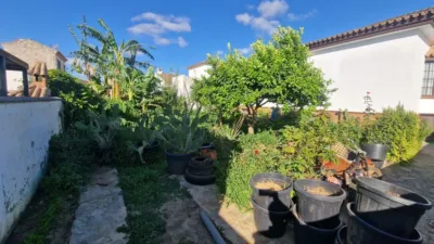 Chalet in San Jose de Malcocinado photo 17