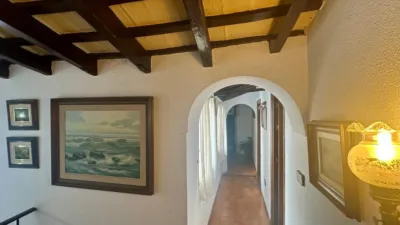 House in the Centre photo 7