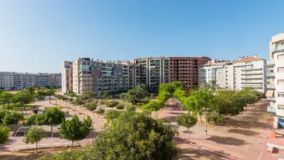 Apartment in Murcia photo 40