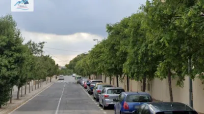 Pis – Alicante - Alacant - Vista 2