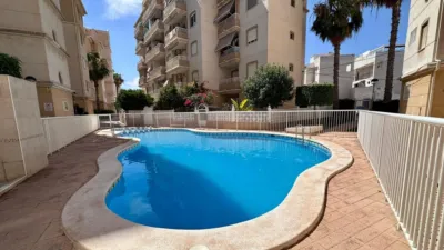 Apartment in Torrevieja - Vista 3