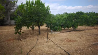 Finca rústica en Cataluña photo 39
