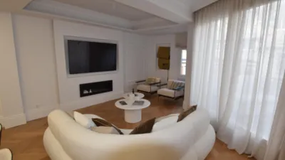 Penthouse on Castellana photo 4
