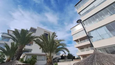 Apartment in Los Dolses photo 26