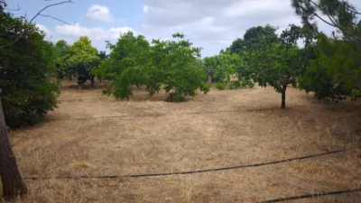 Finca rústica en Cataluña photo 37