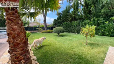 Chalet in Rincon de Loix Llano photo 22