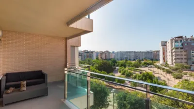 Apartment in Murcia photo 45